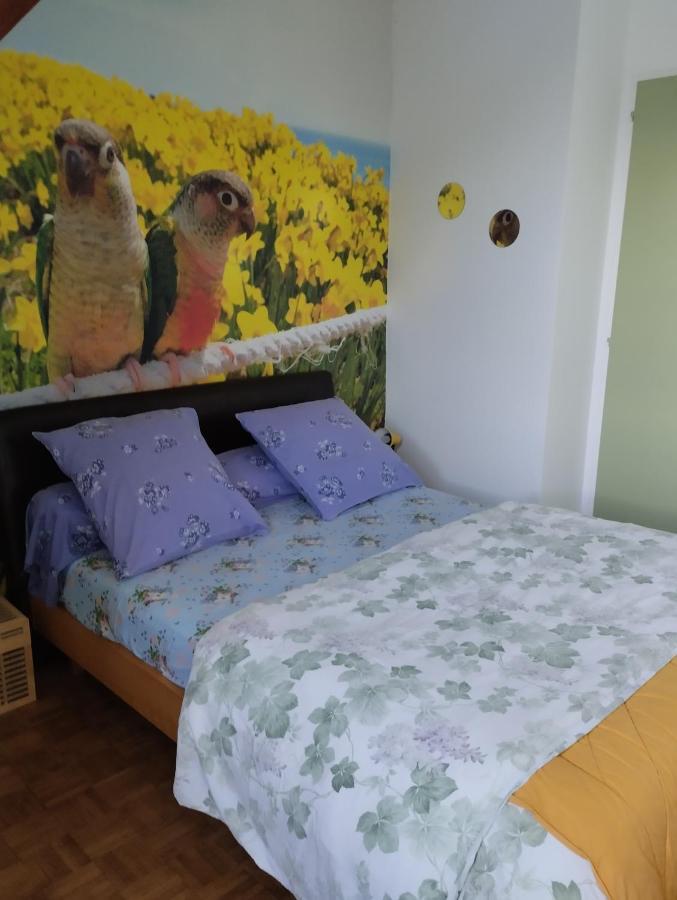 Chambres D'Hotes Du Clos Du Roi Pontorson Extérieur photo