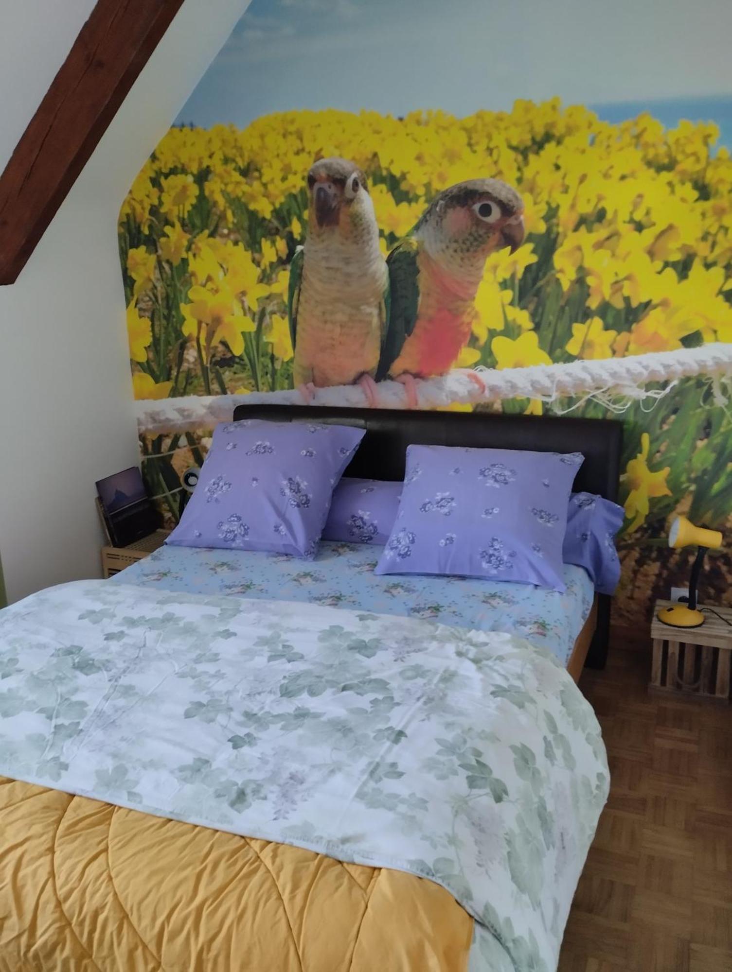 Chambres D'Hotes Du Clos Du Roi Pontorson Extérieur photo